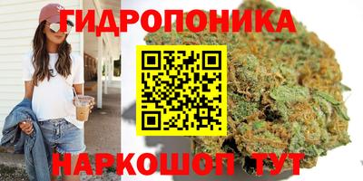 крисы Комсомольск-на-Амуре