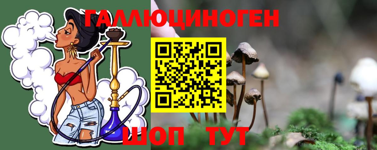 Псилоцибиновые грибы мухоморы Камышин